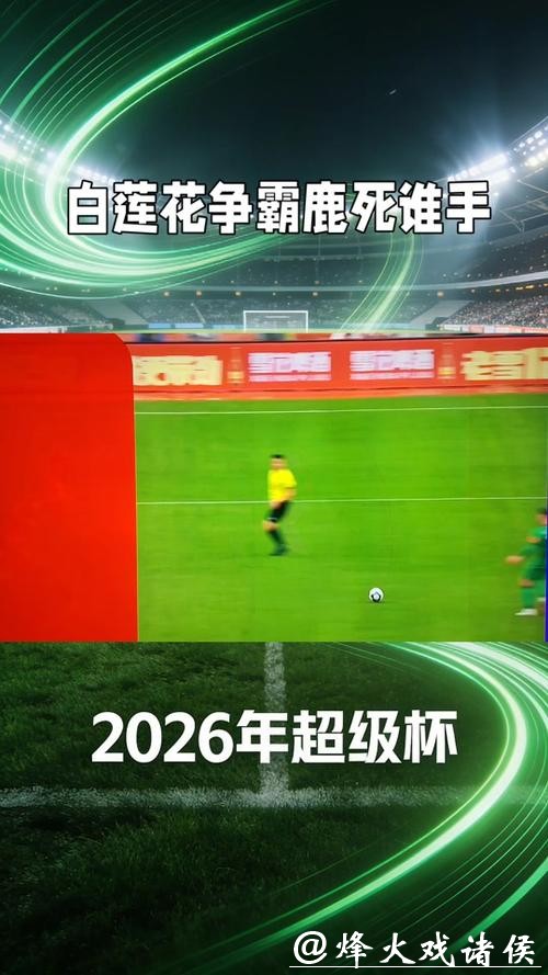 重温经典：世界杯2026决赛完整回放